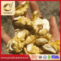 New Crop Lh Walnut Kernels for Exporting